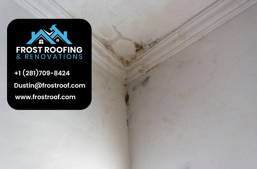 Understanding Roof Leaks Before They Get Worse